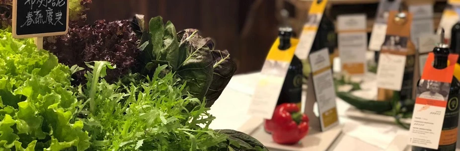 不同飲食對腸道細菌的影響